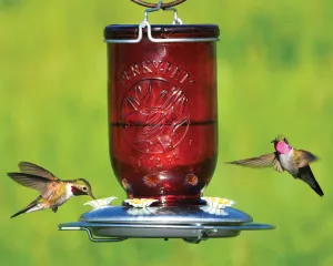 Red Mason Jar Hummingbird Feeder